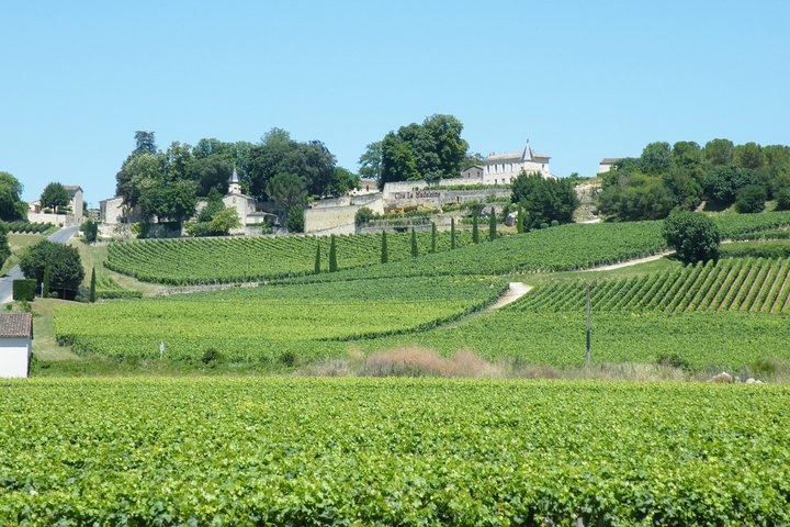 Halve dag wijn tour van Bordeaux naar Saint-Emilion, met wijngaardbezoeken en proeverijen, foto 6 | wizardtrip