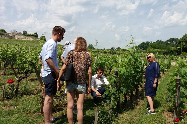Halve dag wijn tour van Bordeaux naar Saint-Emilion, met wijngaardbezoeken en proeverijen, foto 7 | wizardtrip