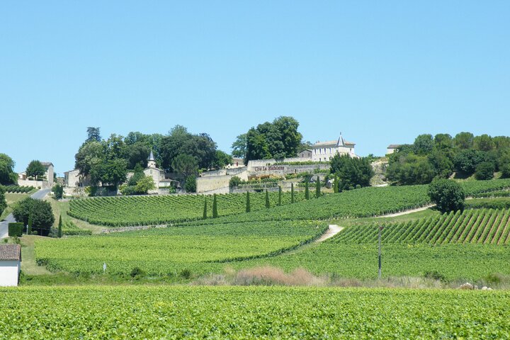 Halve dag wijn tour van Bordeaux naar Saint-Emilion, met wijngaardbezoeken en proeverijen, foto 9 | wizardtrip
