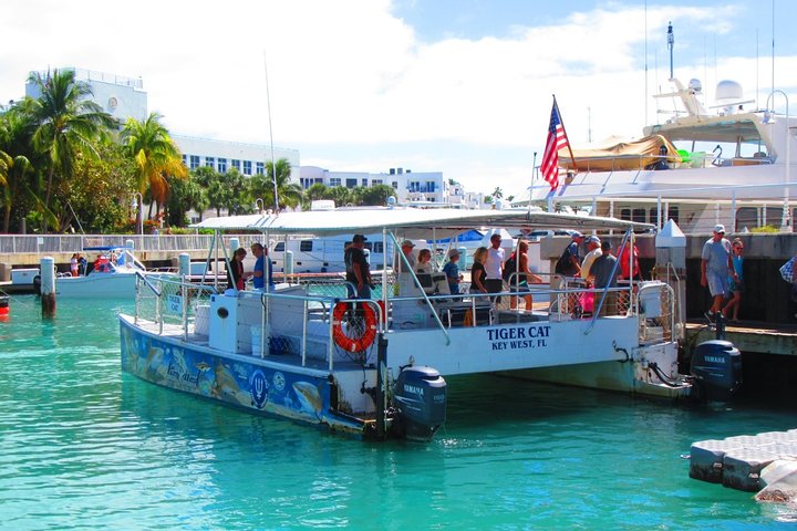 Shark and wildlife viewing adventure by catamaran in Key West, Florida, photo 10 | wizardtrip