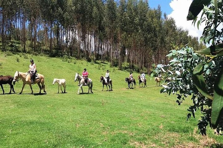 Visite à cheval à Cusco, Pérou, visitant des sites incas et des montagnes, photo 8 | wizardtrip
