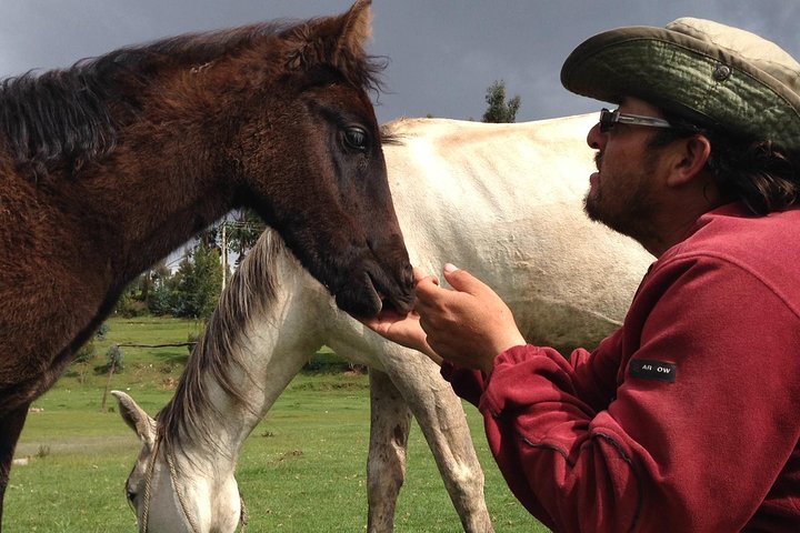 Visite à cheval à Cusco, Pérou, visitant des sites incas et des montagnes, photo 10 | wizardtrip