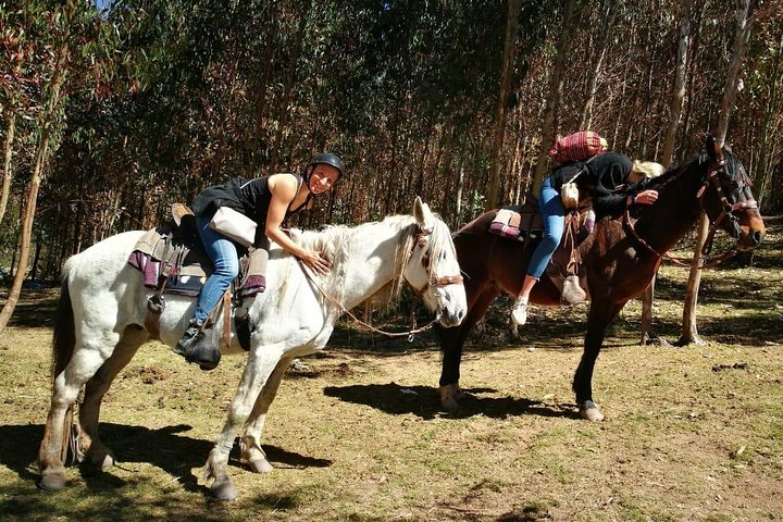 Visite à cheval à Cusco, Pérou, visitant des sites incas et des montagnes, photo 11 | wizardtrip