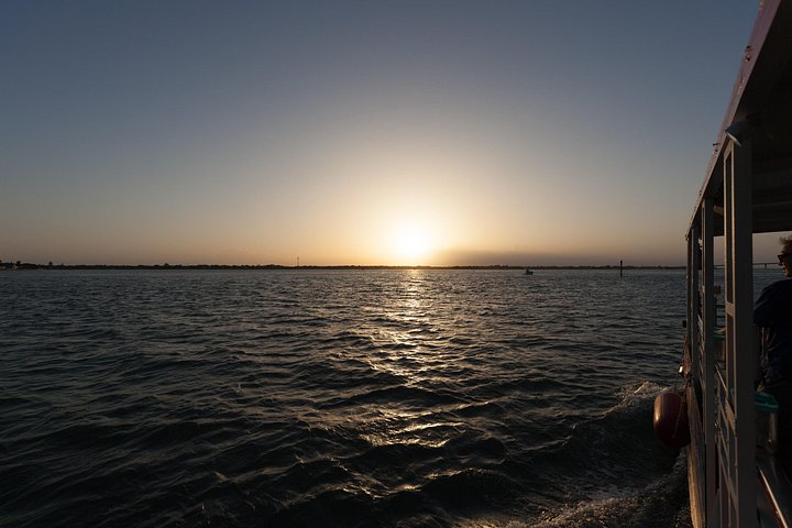 Nyt en solnedgangsbåttur i St. Augustine, Florida, med dyrelivsobservasjon og naturskjønn utsikt over byen, foto 10 | wizardtrip