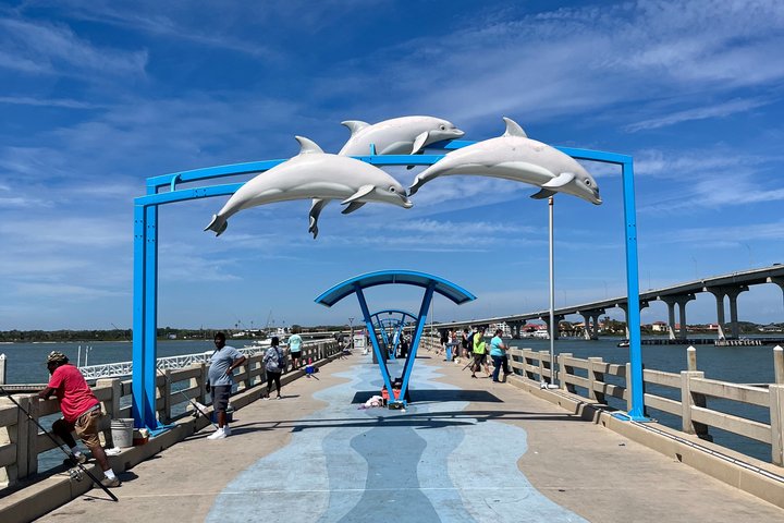 Nyt en solnedgangsbåttur i St. Augustine, Florida, med dyrelivsobservasjon og naturskjønn utsikt over byen, foto 12 | wizardtrip