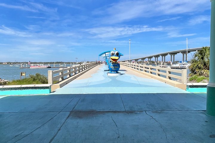 Nyt en solnedgangsbåttur i St. Augustine, Florida, med dyrelivsobservasjon og naturskjønn utsikt over byen, foto 13 | wizardtrip
