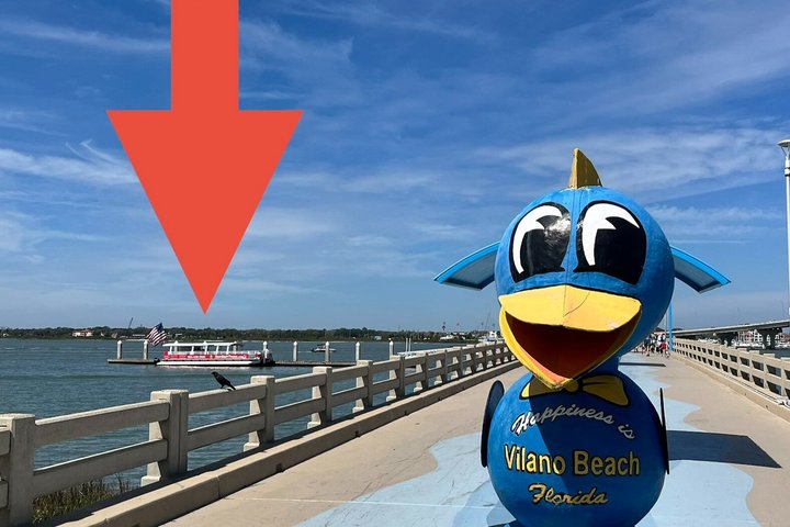 Nyt en solnedgangsbåttur i St. Augustine, Florida, med dyrelivsobservasjon og naturskjønn utsikt over byen, foto 14 | wizardtrip