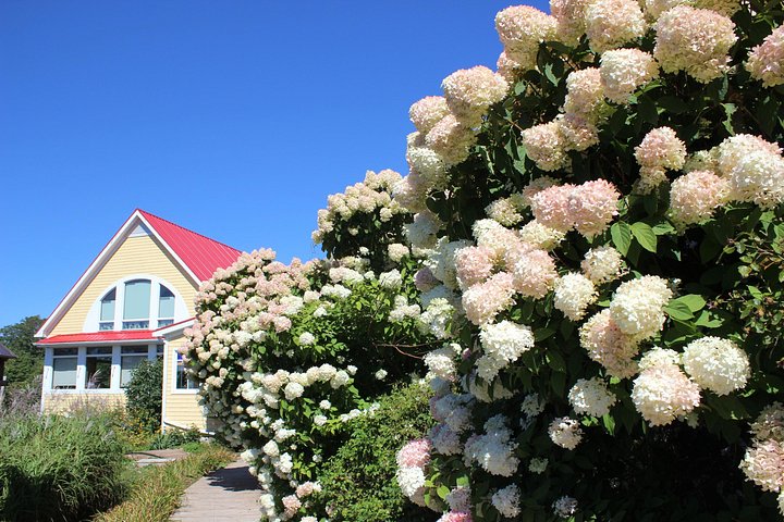 Bezoek het historische Green Gables House en de schilderachtige Green Gables Shore op Prince Edward Island, foto 15 | wizardtrip