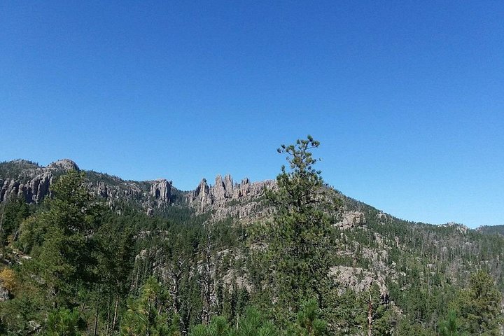 Excursión escénica en autobús por Mount Rushmore y las Black Hills, Dakota del Sur, foto 7 | wizardtrip