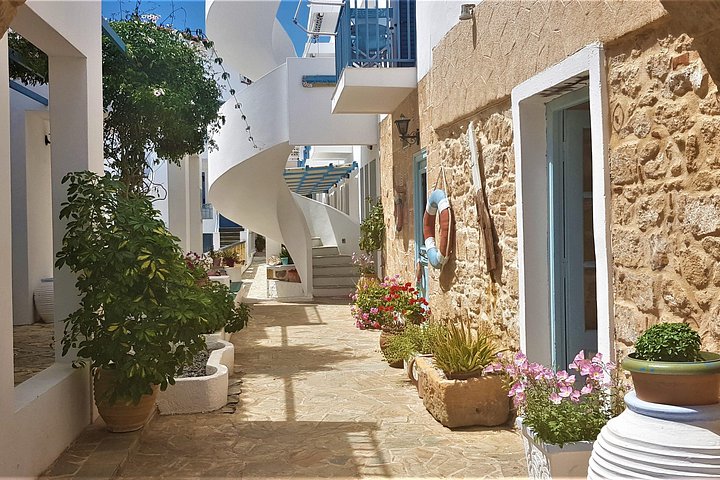 Full day cruise exploring Agistri, Moni, and Aegina islands from Athens, Greece, photo 42 | wizardtrip