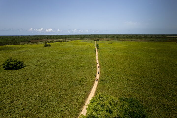 Single rider ATV adventure through scenic trails in San Juan, Puerto Rico, photo 12 | wizardtrip