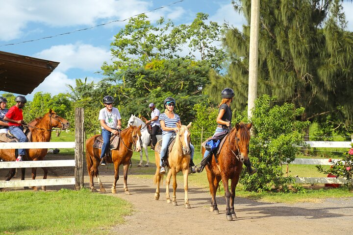 Passeio cénico a cavalo por paisagens exuberantes em San Juan, Porto Rico, foto 8 | wizardtrip