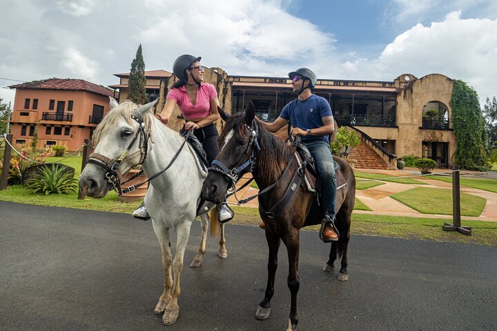 Passeio cénico a cavalo por paisagens exuberantes em San Juan, Porto Rico, foto 9 | wizardtrip