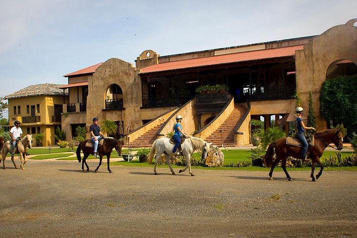 Passeio cénico a cavalo por paisagens exuberantes em San Juan, Porto Rico, foto 10 | wizardtrip