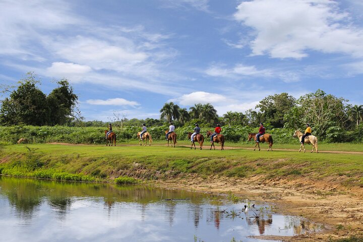 Passeio cénico a cavalo por paisagens exuberantes em San Juan, Porto Rico, foto 12 | wizardtrip