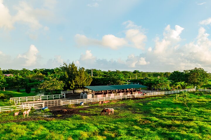 Passeio cénico a cavalo por paisagens exuberantes em San Juan, Porto Rico, foto 13 | wizardtrip