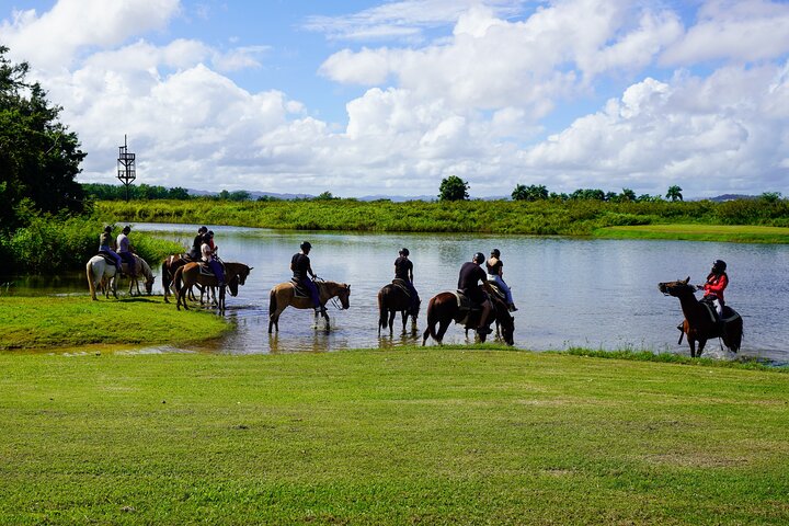 Passeio cénico a cavalo por paisagens exuberantes em San Juan, Porto Rico, foto 14 | wizardtrip