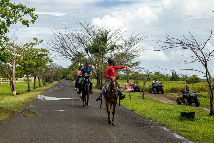 Passeio cénico a cavalo por paisagens exuberantes em San Juan, Porto Rico, foto 18 | wizardtrip