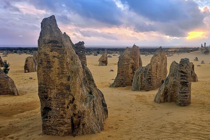 Oplev Pinnacles Desert solnedgang og stjernekiggeri tur fra Perth, Australien, foto 9 | wizardtrip