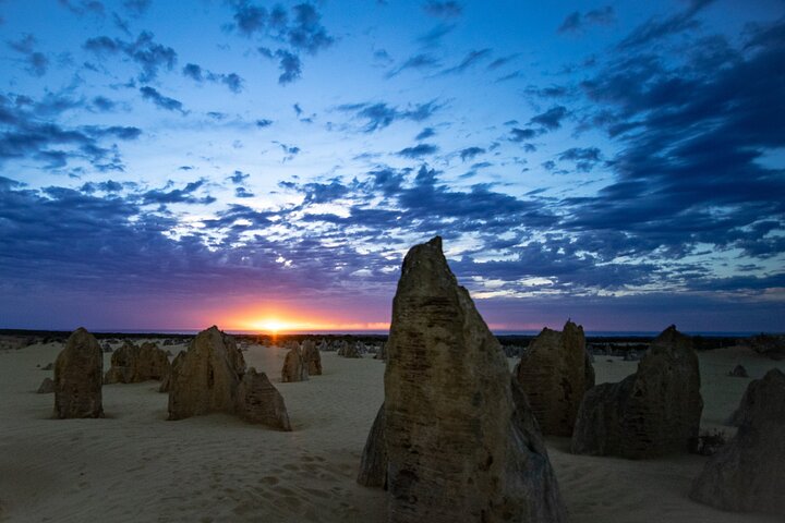 Oplev Pinnacles Desert solnedgang og stjernekiggeri tur fra Perth, Australien, foto 17 | wizardtrip