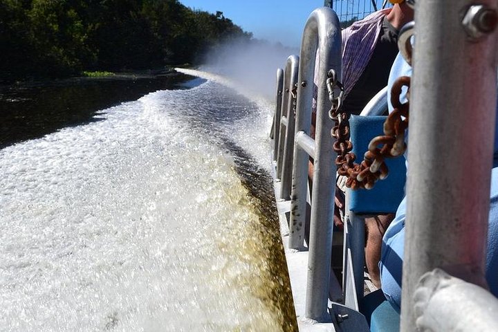 Vivez une excursion palpitante en hydroglisseur à la Nouvelle-Orléans à travers les marais de cyprès, à la recherche d'alligators, photo 9 | wizardtrip