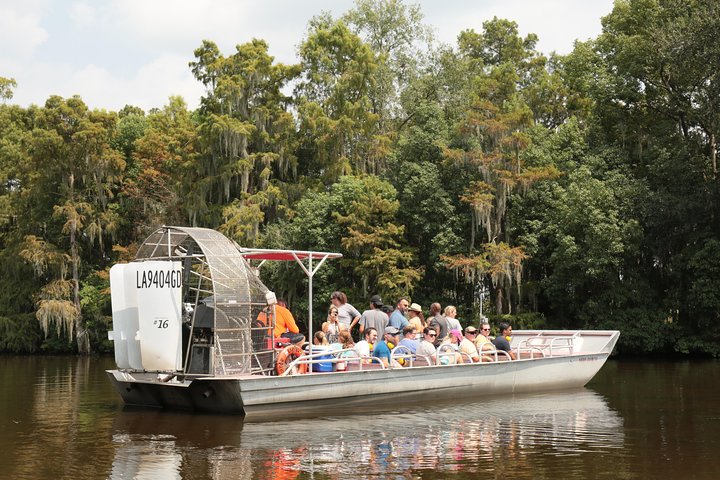 Vivez une excursion palpitante en hydroglisseur à la Nouvelle-Orléans à travers les marais de cyprès, à la recherche d'alligators, photo 10 | wizardtrip