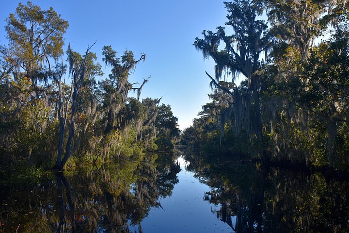 Vivez une excursion palpitante en hydroglisseur à la Nouvelle-Orléans à travers les marais de cyprès, à la recherche d'alligators, photo 13 | wizardtrip