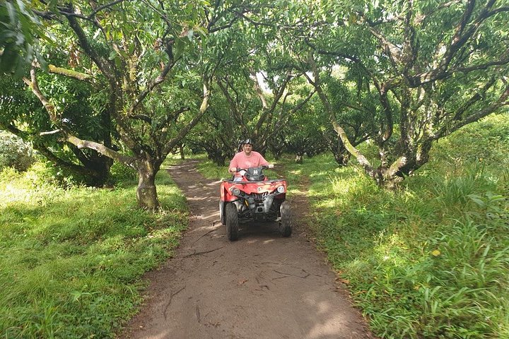 Opplev en spennende ATV-tur på St. Kitts, utforsk plantasjer og naturskjønne utsikter, foto 6 | wizardtrip