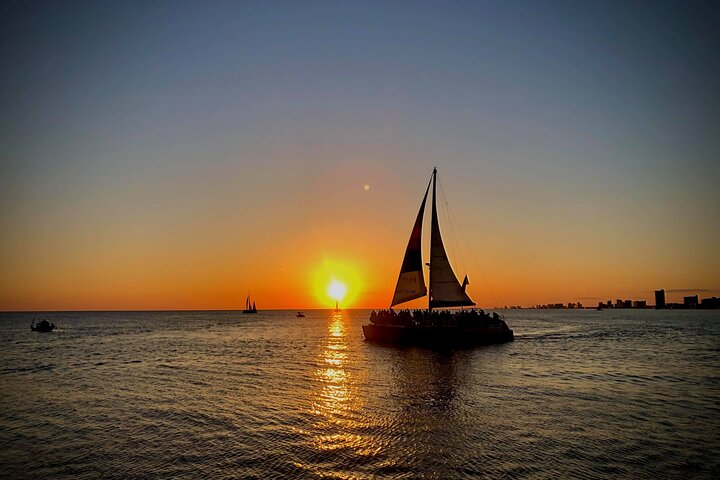 Njut av en delfinskådnings- och solnedgångskryssning på en katamaran i Panama City Beach, Florida, foto 6 | wizardtrip