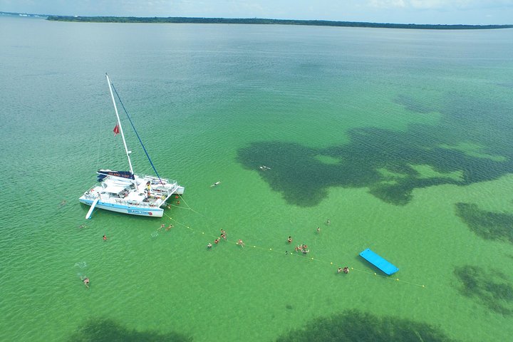 Catamaran cruise voor snorkelen en dolfijnspotten in Panama City Beach, foto 8 | wizardtrip