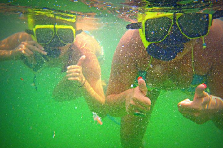 Catamaran cruise voor snorkelen en dolfijnspotten in Panama City Beach, foto 9 | wizardtrip