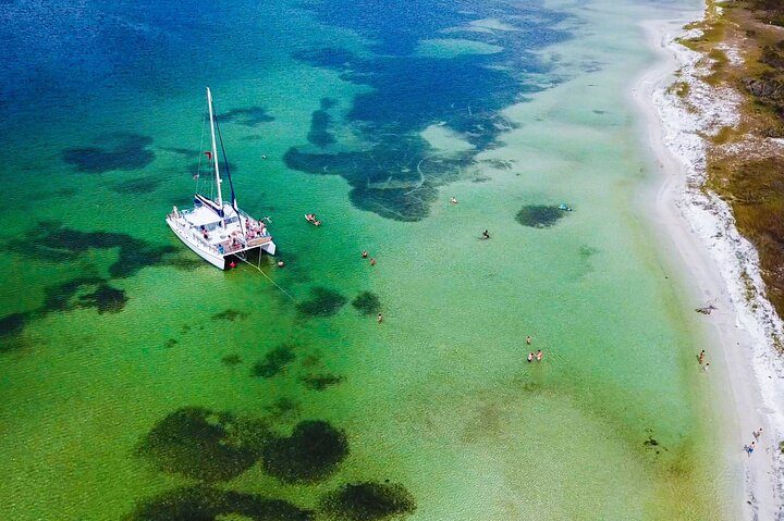 Catamaran cruise voor snorkelen en dolfijnspotten in Panama City Beach, foto 14 | wizardtrip