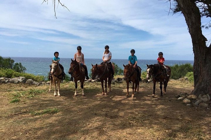 Tour panoramico a cavallo nelle West Maui Mountains di Maui, con cascate e viste sull'oceano, foto 7 | wizardtrip