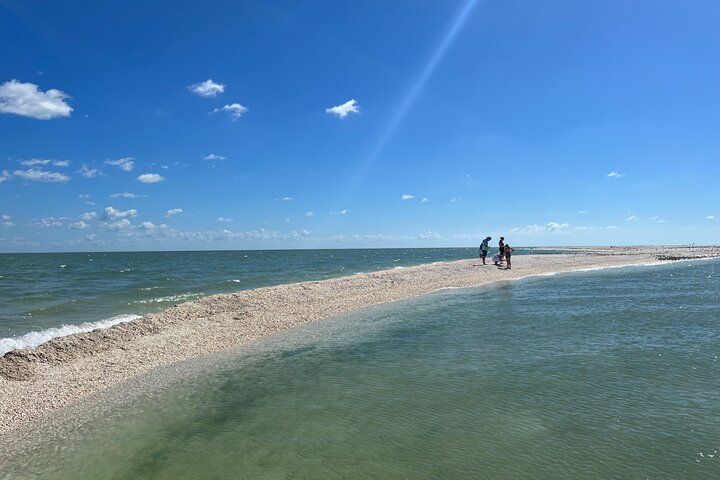 Delfin- und Muscheltour auf einem Boot in den Ten Thousand Islands, Florida, Foto 10 | wizardtrip