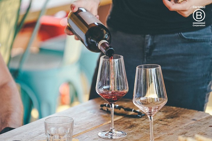 Tour de cata de vinos en Valpolicella desde Verona, con viñedos y bodegas, foto 7 | wizardtrip