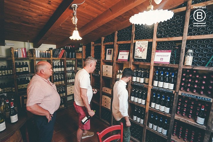 Tour de cata de vinos en Valpolicella desde Verona, con viñedos y bodegas, foto 10 | wizardtrip