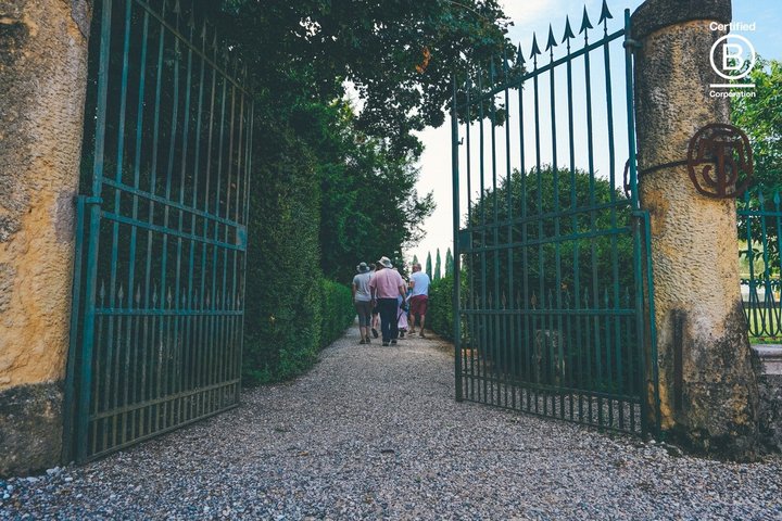 Tour de cata de vinos en Valpolicella desde Verona, con viñedos y bodegas, foto 12 | wizardtrip