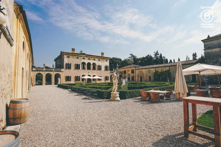 Tour de cata de vinos en Valpolicella desde Verona, con viñedos y bodegas, foto 13 | wizardtrip