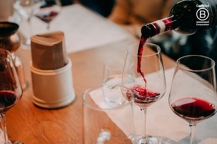 Tour de cata de vinos en Valpolicella desde Verona, con viñedos y bodegas, foto 14 | wizardtrip