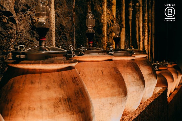 Tour de cata de vinos en Valpolicella desde Verona, con viñedos y bodegas, foto 16 | wizardtrip