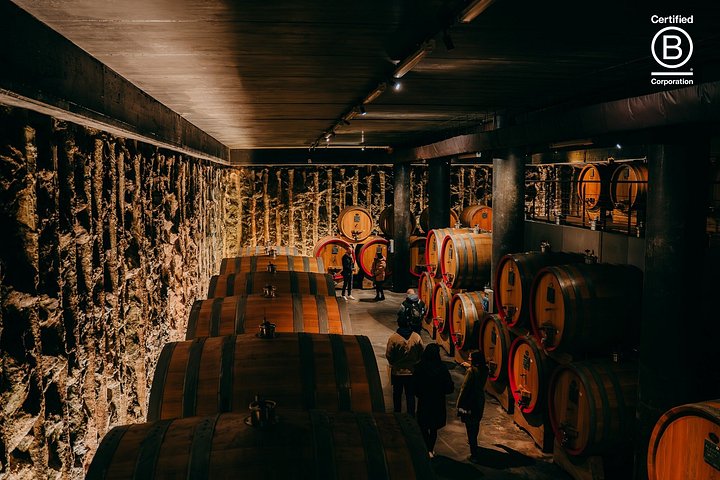 Tour de cata de vinos en Valpolicella desde Verona, con viñedos y bodegas, foto 17 | wizardtrip