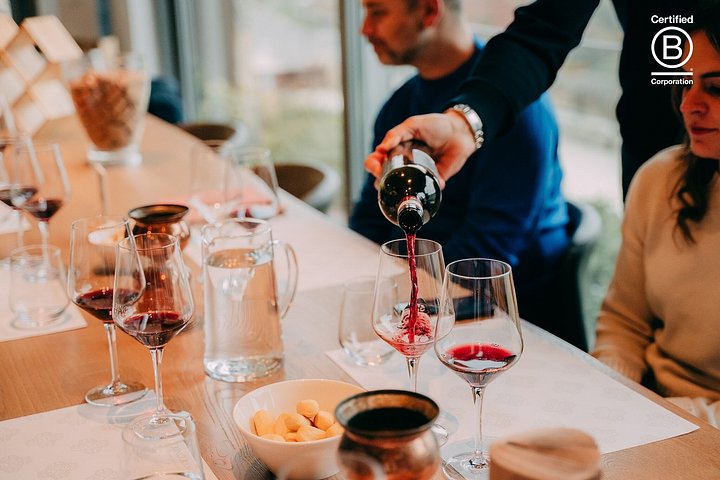 Tour de cata de vinos en Valpolicella desde Verona, con viñedos y bodegas, foto 18 | wizardtrip