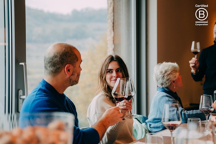 Tour de cata de vinos en Valpolicella desde Verona, con viñedos y bodegas, foto 19 | wizardtrip