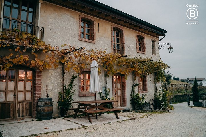 Tour de cata de vinos en Valpolicella desde Verona, con viñedos y bodegas, foto 21 | wizardtrip