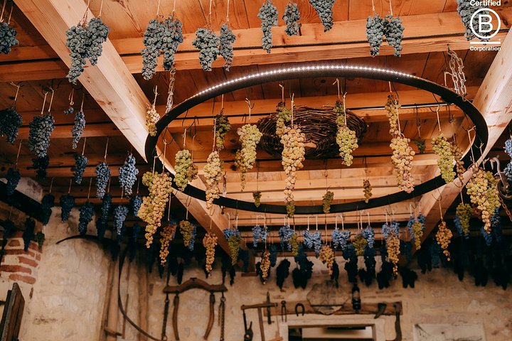 Tour de cata de vinos en Valpolicella desde Verona, con viñedos y bodegas, foto 22 | wizardtrip