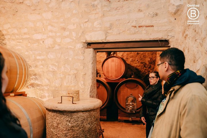 Tour de cata de vinos en Valpolicella desde Verona, con viñedos y bodegas, foto 24 | wizardtrip