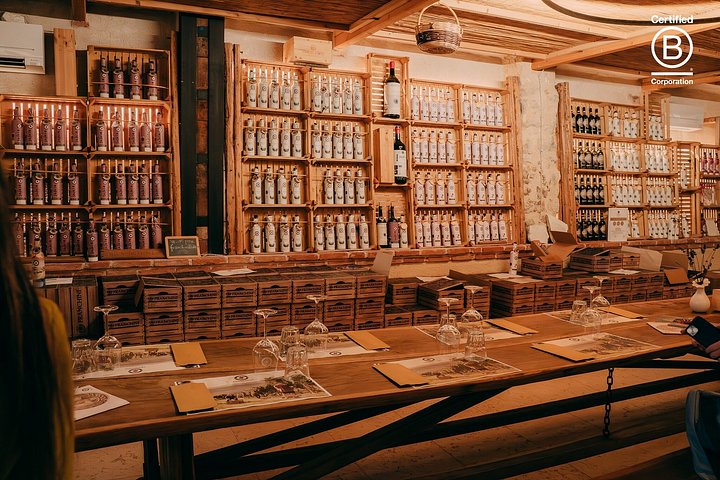 Tour de cata de vinos en Valpolicella desde Verona, con viñedos y bodegas, foto 26 | wizardtrip