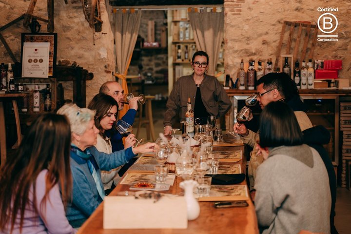 Tour de cata de vinos en Valpolicella desde Verona, con viñedos y bodegas, foto 27 | wizardtrip