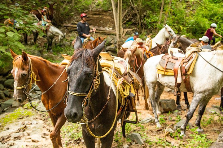 Reittour in der Sierra Madre bei Puerto Vallarta, Mexiko, Foto 21 | wizardtrip