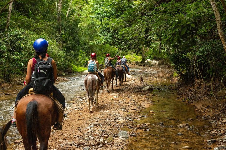 Reittour in der Sierra Madre bei Puerto Vallarta, Mexiko, Foto 28 | wizardtrip